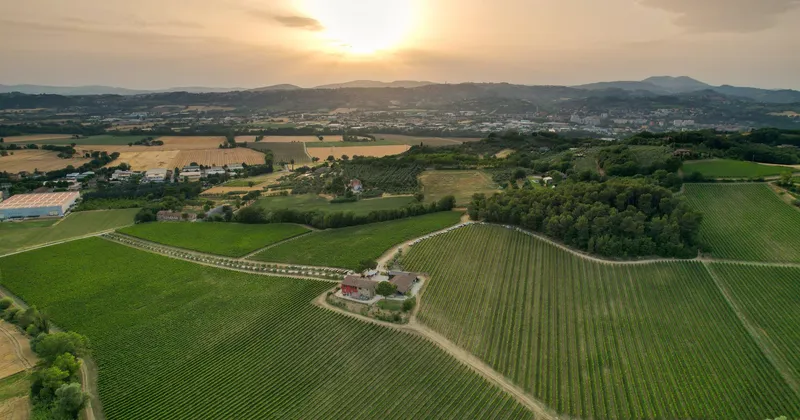 Premio Cramum, un'installazione sul valore dell'attesa per la Cantina Terre Margaritelli, in Umbria