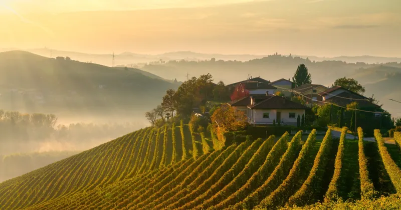Uno spazio per la degustazione dei vini tra i Colli Tortonesi, in Piemonte