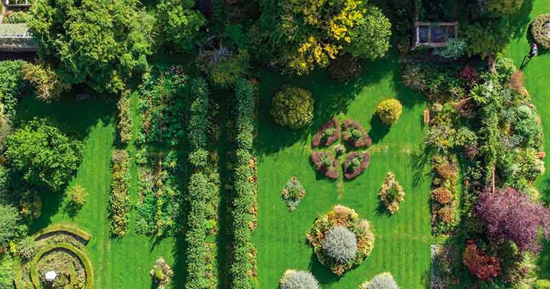Conservare il giardino: ciclo di incontri in presenza e in webinar sul giardino storico e sul suo recupero
