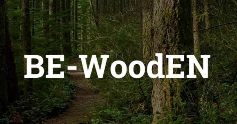 Be-WoodEN: 13 webinar gratuiti per progettare con il legno