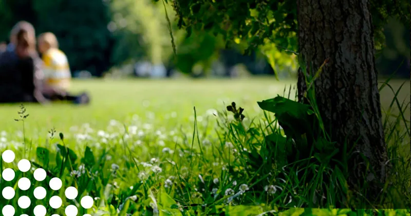 Le Cascine, metamorfosi e conservazione di un parco urbano