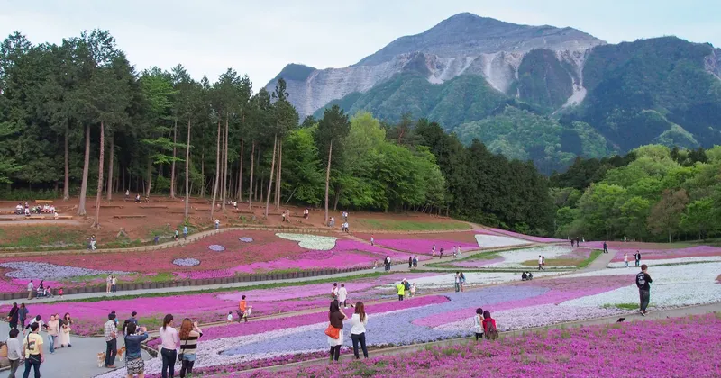 L'architettura giapponese oltre i cliché