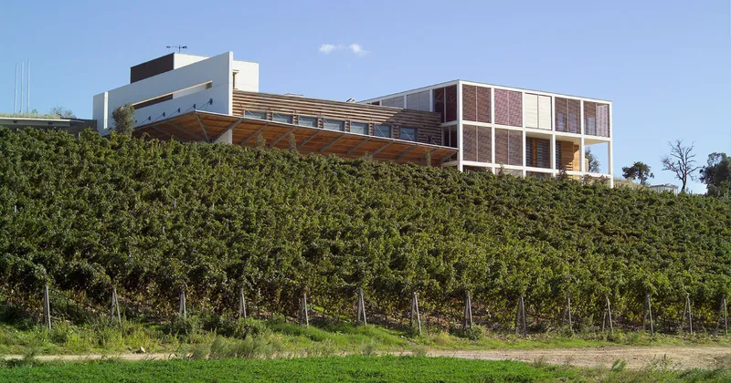 Cantina di Colle Massari: visita al progetto di Edoardo Milesi scavato nella collina