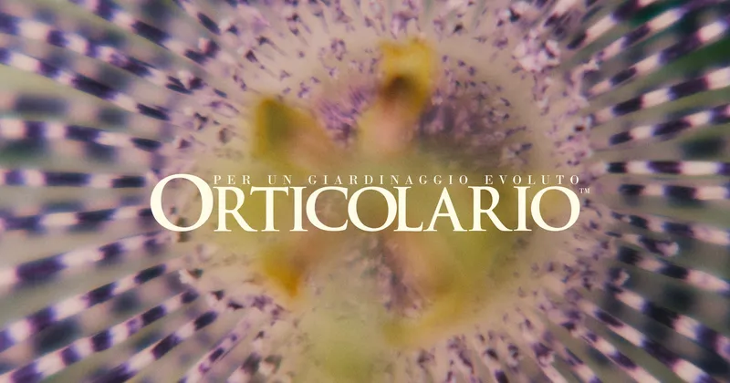 Orticolario 2026: la cultura del paesaggio in scena sul lago di Como